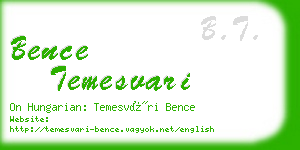 bence temesvari business card